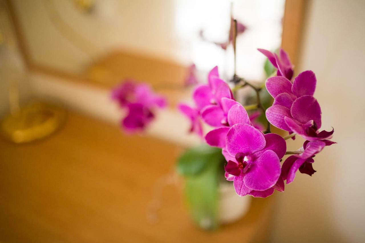 Apartments Villa Majda 마툴지 외부 사진